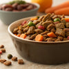 How to Mix Dry and Wet Dog Food: A Complete Guide for Pet Parents