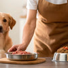 How to Serve Raw Dog Food: A Comprehensive Guide for Pet Owners