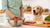 How to Switch My Dog to Raw Food: A Comprehensive Guide for Pet Owners