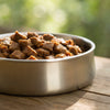 How to Tell if Canned Dog Food Is Bad: A Comprehensive Guide for Pet Owners