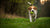 How to Train a Dog to Fetch: A Step-by-Step Guide