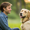 How to Train a Therapy Dog: A Comprehensive Guide