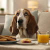 Human Foods That Are Good for Puppies: A Comprehensive Guide for Pet Owners