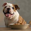 Is a Raw Diet Good for Dogs? A Comprehensive Guide for Pet Owners