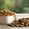 Is Canned Dog Food Better Than Dry? A Comprehensive Guide for Pet Owners