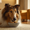 Is Canned Dog Food Good for Puppies? A Balanced Look at Benefits, Considerations, and Feeding Practices
