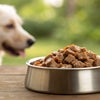 Is Canned Dog Food Healthy for Dogs? Exploring the Nutritional Benefits and Considerations