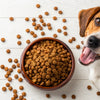 Is Dry Dog Food Better for Dogs? Understanding the Benefits and Drawbacks