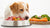 Is Feeding Your Dog Raw Food Good? Exploring the Pros and Cons of Raw Diets