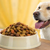 Is Freeze-Dried Food Healthy for Dogs? Understanding the Benefits and Considerations