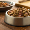 Is Freeze-Dried Raw Dog Food Good? A Comprehensive Guide for Pet Parents