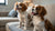 Is Jackfruit Good for Dogs? Understanding the Benefits and Risks