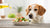 Is Olive Oil Good for Dogs? Exploring the Benefits and Risks