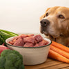 Is Raw Dog Food Cooked? Understanding the Cooking Debate for Optimal Pet Nutrition