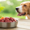 Is Raw Dog Food Good for Dogs? Exploring the Benefits and Risks