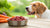 Is Raw Dog Food Good for Dogs? Exploring the Benefits and Risks