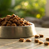 Is Wet Dog Food Better for Sensitive Stomach? Exploring the Best Options for Your Furry Friend