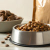 Should You Feed Your Dog Wet Food or Dry Food? Exploring the Best Options for Your Pet