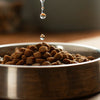 Should You Wet Dog Kibble? Exploring the Pros and Cons