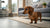 Understanding Bernese Mountain Dog Temperament: A Comprehensive Guide for Dog Lovers