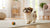 Understanding Borzoi Health Problems: A Comprehensive Guide for Pet Owners