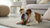 Understanding Bullmastiff Health Problems: What Every Owner Should Know