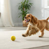 Understanding English Springer Spaniel Personality Traits: A Guide for Dog Lovers