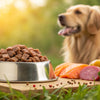 Understanding How Much Raw Dog Food to Feed Your Furry Friend