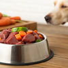 Understanding How Much Raw Food to Feed a Dog Per Day