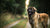 Understanding Leonberger Health Problems: A Comprehensive Guide for Pet Owners