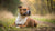 Understanding Staffordshire Bull Terrier Health Problems: A Comprehensive Guide for Owners