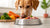 Understanding the Cost of Feeding Your Dog Raw Food: Is We Feed Raw Right for You?
