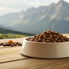 Understanding the Disadvantages of Grain-Free Dog Food: What Pet Owners Should Know