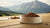 Understanding the Disadvantages of Grain-Free Dog Food: What Pet Owners Should Know