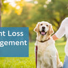 Understanding Weight Loss in Diabetic Dogs: Causes, Management, and Care