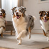 Understanding What Dog Dental Chews Are Made Of: A Comprehensive Guide