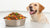 Understanding What is a Healthy Wet Dog Food: A Comprehensive Guide for Pet Owners