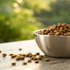 Understanding What is the Purpose of Grain Free Dog Food
