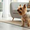Understanding What Vegetables Dogs Cannot Eat: A Comprehensive Guide for Pet Owners
