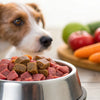 Understanding Why Do Vets Not Like Raw Dog Food