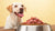 What Are the Benefits of Raw Dog Food? Understanding the Advantages for Your Pet