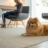 What Bones Can Dogs Eat? A Guide to Safe and Healthy Chewing