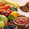 What Can I Give My Dog Instead of Kibble? A Comprehensive Guide to Dog Food Alternatives