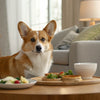What Dogs Need Grain-Free Food: Understanding the Benefits and Risks
