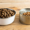 What is Better for a Dog: Dry or Wet Food?