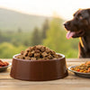 What is the Best Raw Freeze Dried Dog Food: A Comprehensive Guide for Pet Owners