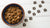 What is the Best Wet Dog Food for Allergies? The Ultimate Guide for Pet Owners