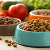 What Kibble is Good for Dogs: A Comprehensive Guide for Pet Owners