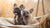What Raw Food is Good for Dogs: A Comprehensive Guide