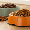 What's Better for Dogs: Dry or Wet Food?